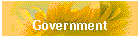 Government