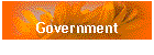 Government