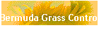 Bermuda Grass Control