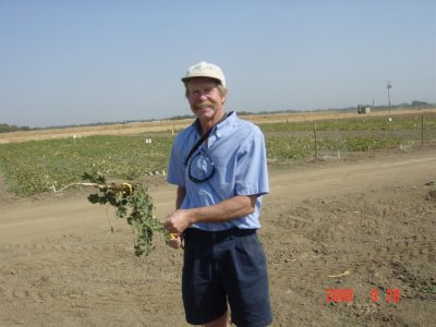 Weed Twister vs Mallow UC Davis - Dr. Tom Lanini