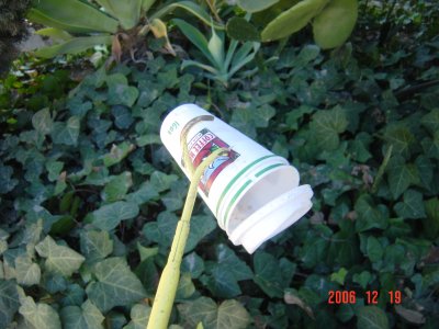 Weed Twister vs Plastic Cup