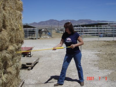 Click for larger image of wild animal defense practice with the Weed Twister!
