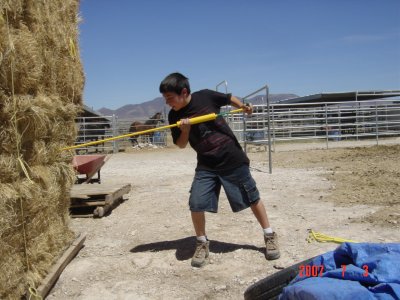 Click for larger image of wild animal defense practice with the Weed Twister!