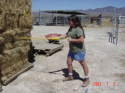 Click for larger image of wild animal defense practice with the Weed Twister!