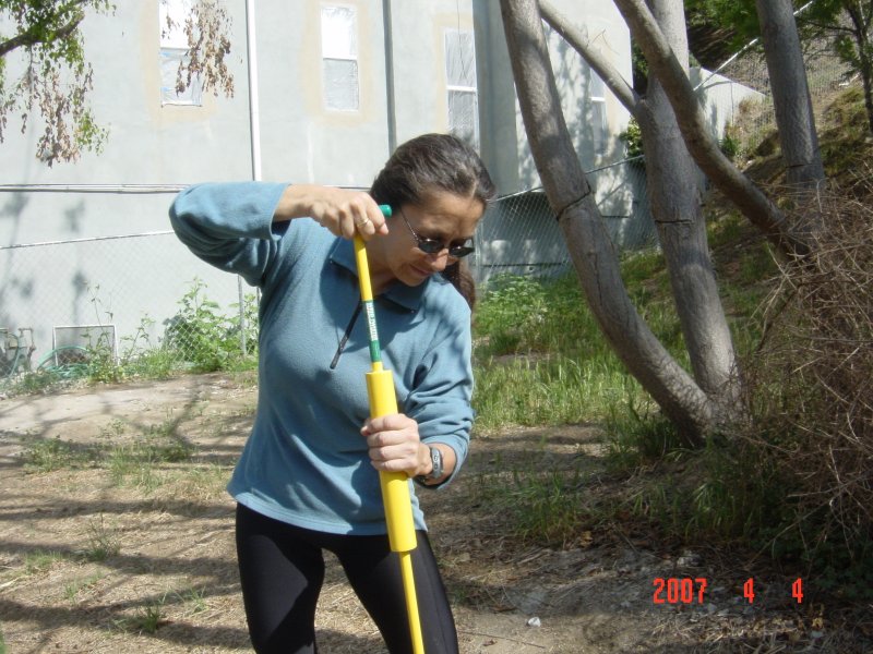 Weed Removal