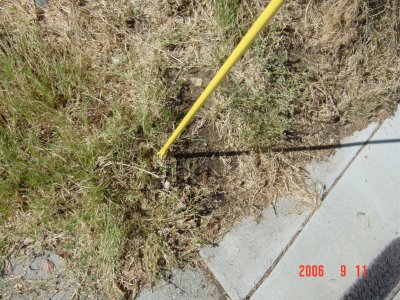 Weed Twister vs. Bermudagrass