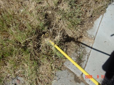 Weed Twister vs. Bermudagrass