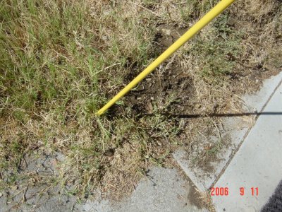 Weed Twister vs. Bermudagrass