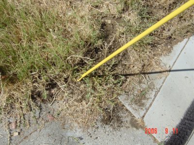 Weed Twister vs. Bermudagrass