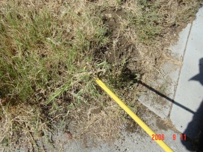 Weed Twister vs. Bermudagrass