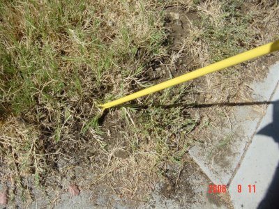 Weed Twister vs. Bermudagrass