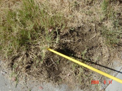 Weed Twister vs. Bermudagrass