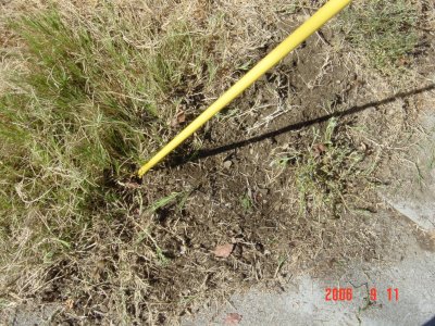 Weed Twister vs. Bermudagrass