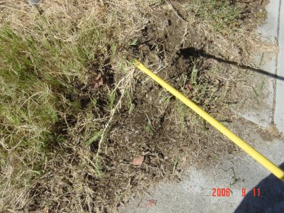 Weed Twister vs. Bermudagrass