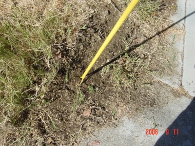 Weed Twister vs. Bermudagrass