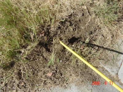 Weed Twister vs. Bermudagrass