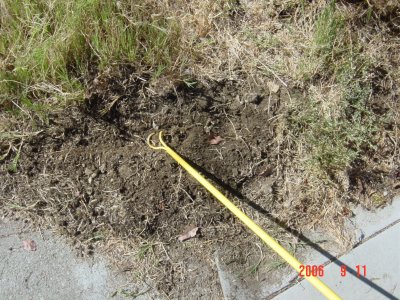 Weed Twister vs. Bermudagrass
