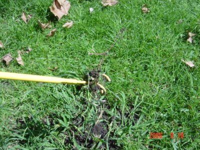 Weed Twister vs. Crabgrass