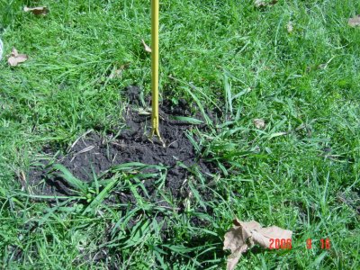Weed Twister vs. Crabgrass
