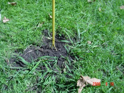 Weed Twister vs. Crabgrass