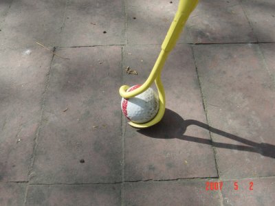 Click to see larger image of the Weed Twister walking stick on bricks!
